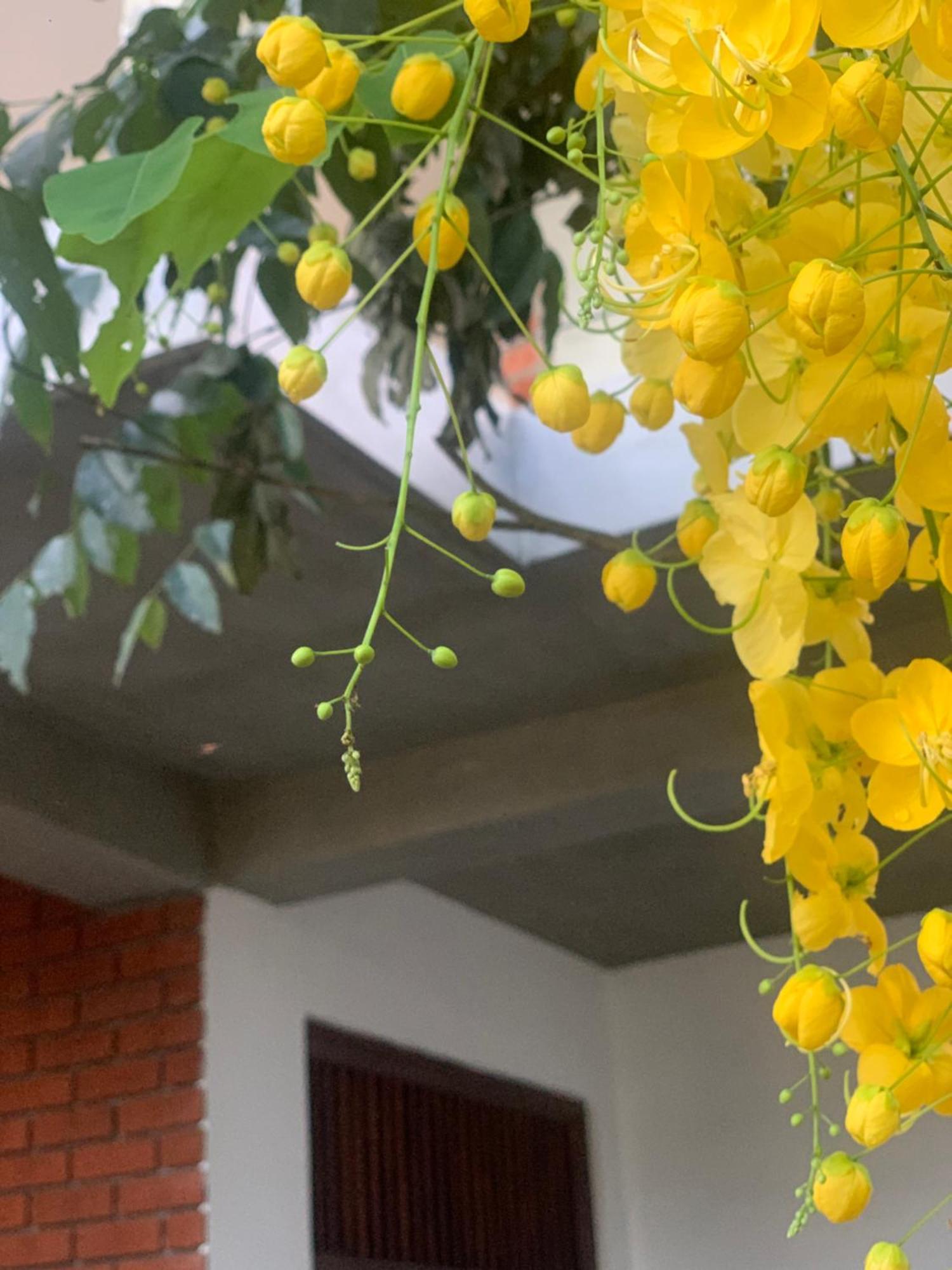 Thaproo Bay Hiriketiya Bed & Breakfast Dikwella Ngoại thất bức ảnh
