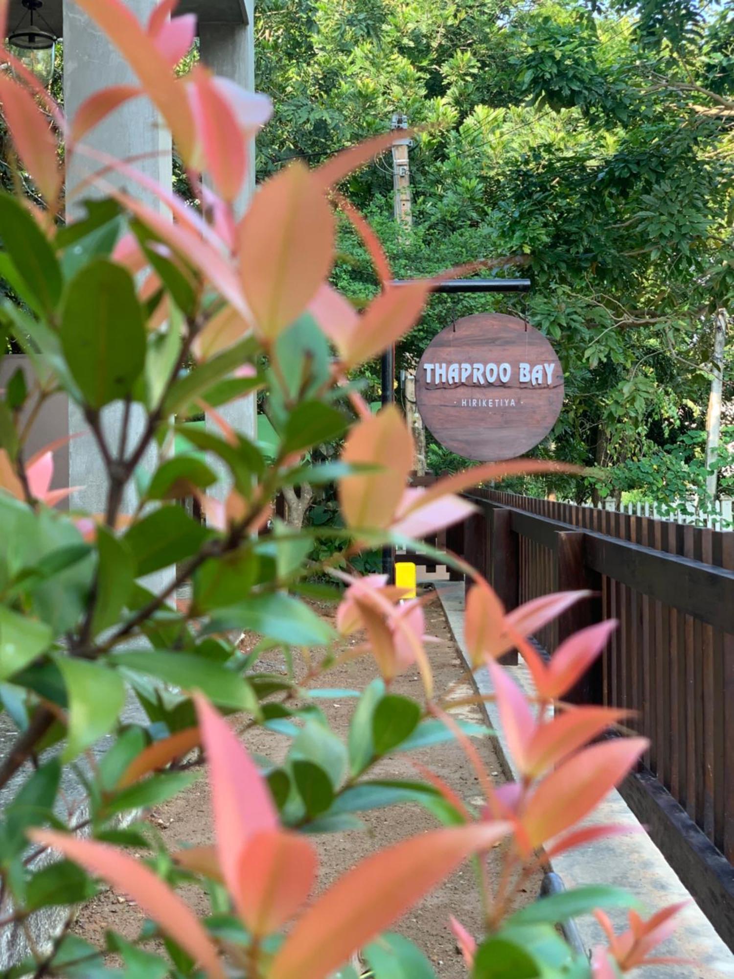 Thaproo Bay Hiriketiya Bed & Breakfast Dikwella Ngoại thất bức ảnh
