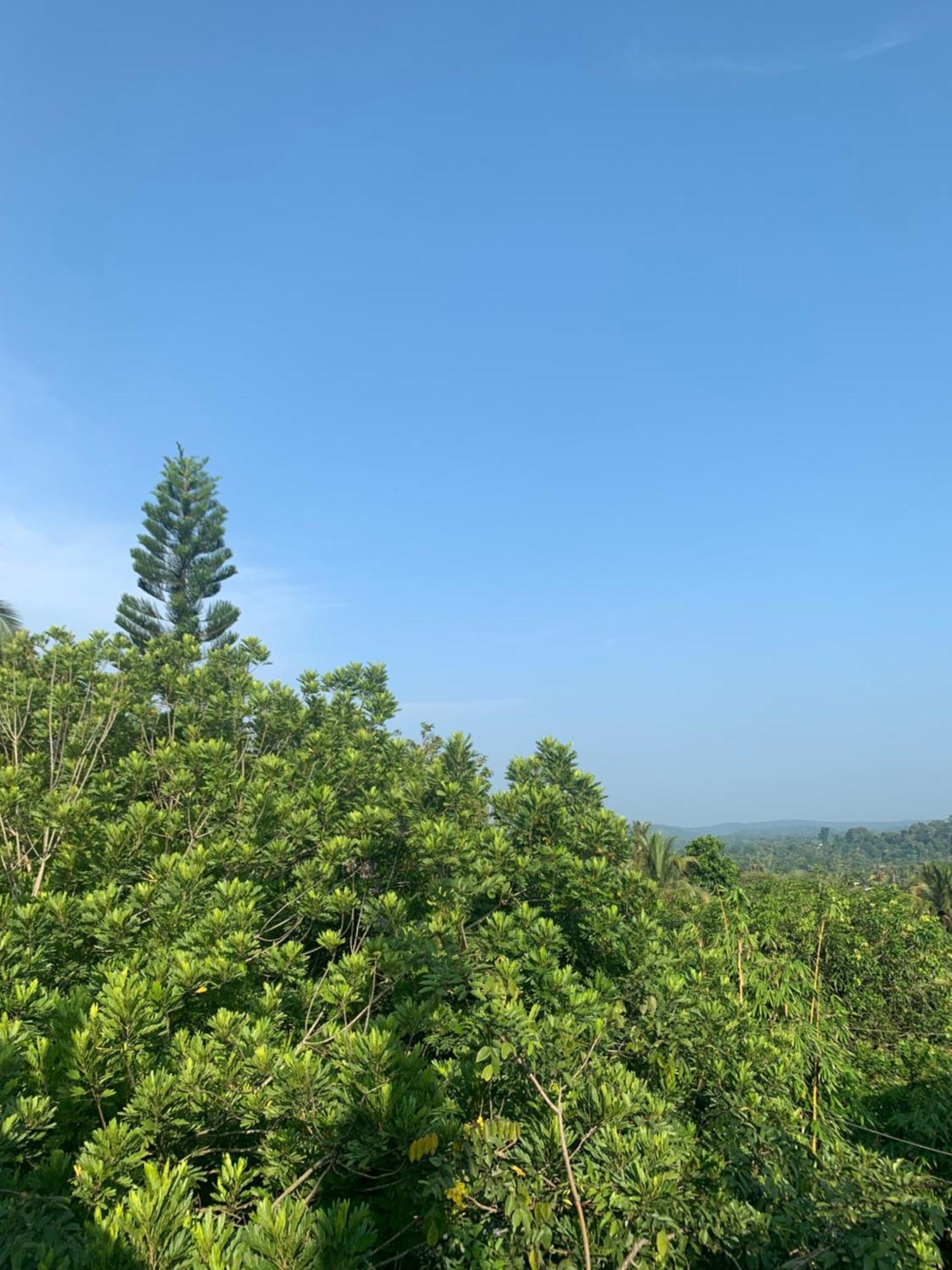 Thaproo Bay Hiriketiya Bed & Breakfast Dikwella Ngoại thất bức ảnh
