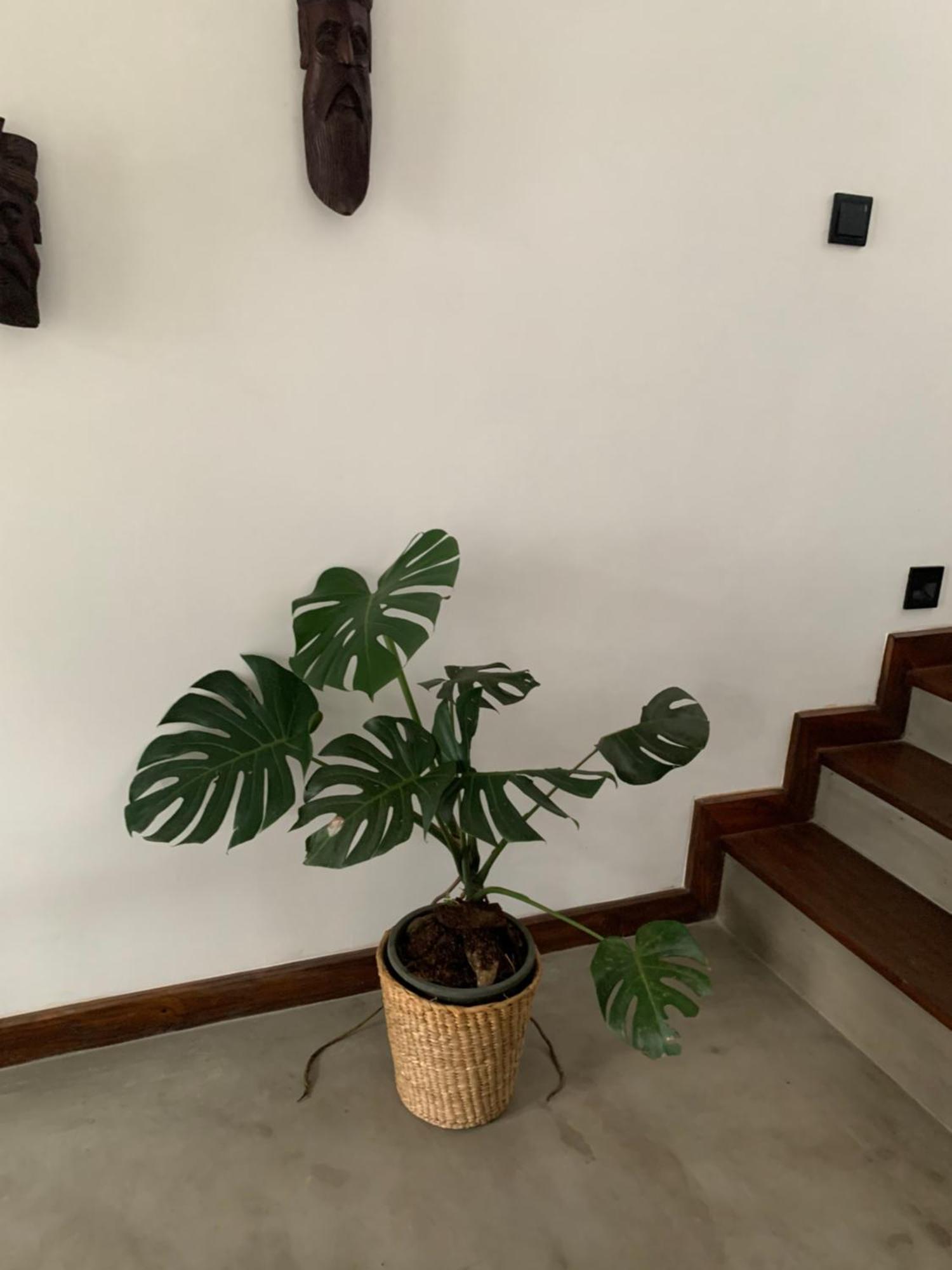 Thaproo Bay Hiriketiya Bed & Breakfast Dikwella Ngoại thất bức ảnh