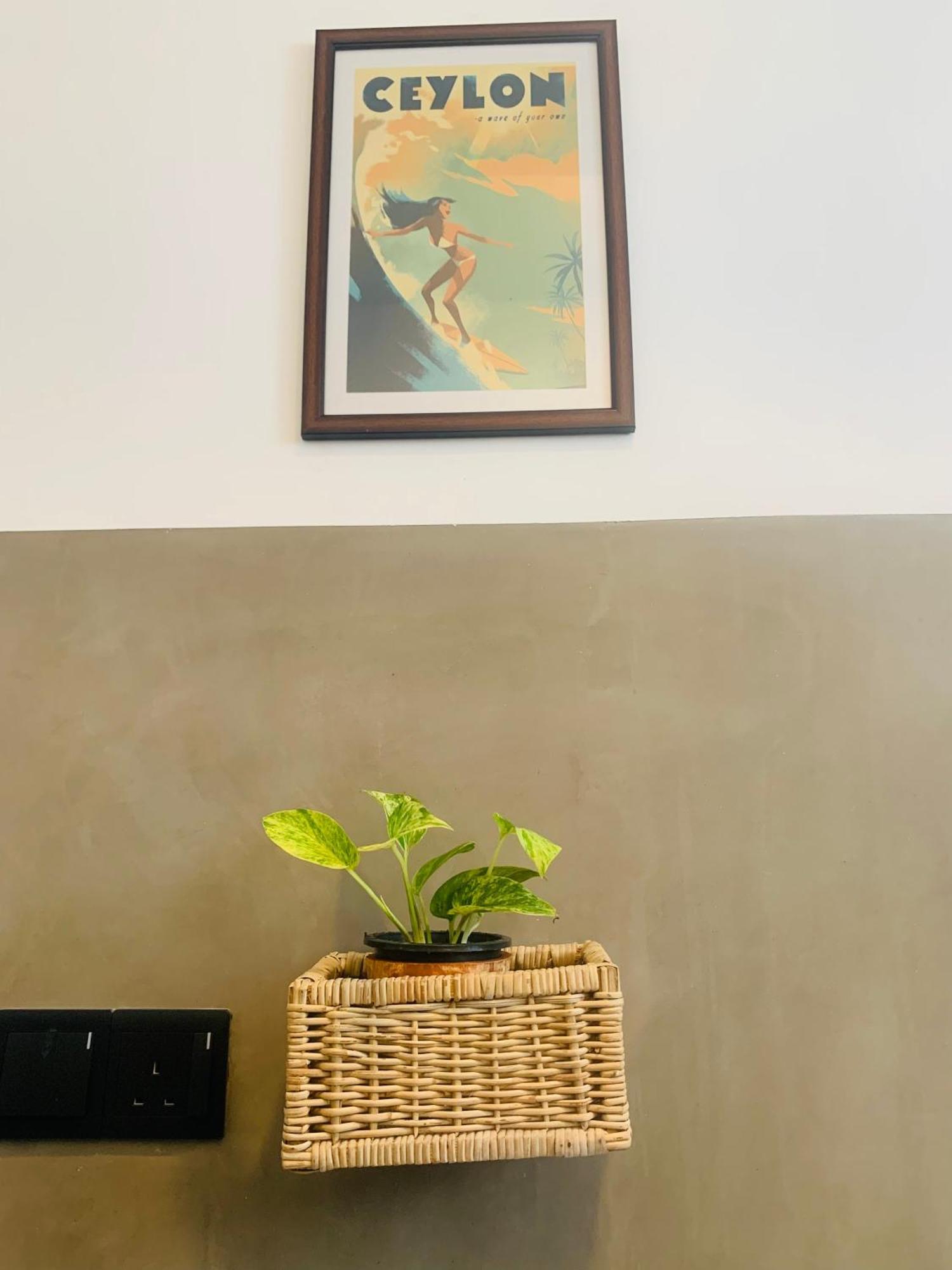 Thaproo Bay Hiriketiya Bed & Breakfast Dikwella Ngoại thất bức ảnh